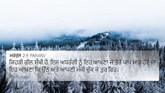 ਮਰਕੁਸ 2:9 PANIRV Bible Verse Image