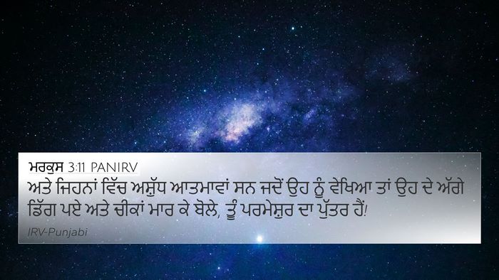 ਮਰਕੁਸ 3:11 PANIRV Bible Verse Image