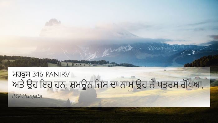 ਮਰਕੁਸ 3:16 PANIRV Bible Verse Image