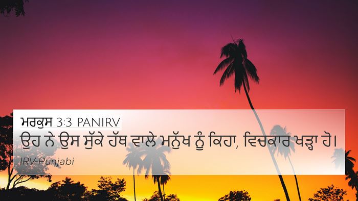 ਮਰਕੁਸ 3:3 PANIRV 4K Wallpaper - ਉਹ ਨੇ ਉਸ ਸੁੱਕੇ ਹੱਥ - 4K Wallpaper Bible Verse