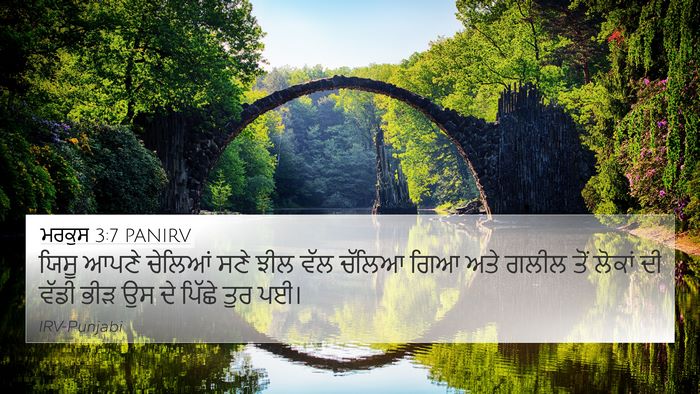 ਮਰਕੁਸ 3:7 PANIRV Bible Verse Image