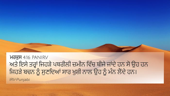 ਮਰਕੁਸ 4:16 PANIRV Bible Verse Image