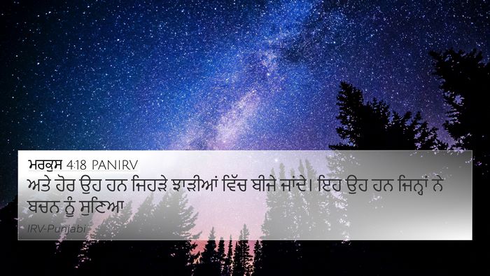 ਮਰਕੁਸ 4:18 PANIRV Bible Verse Image