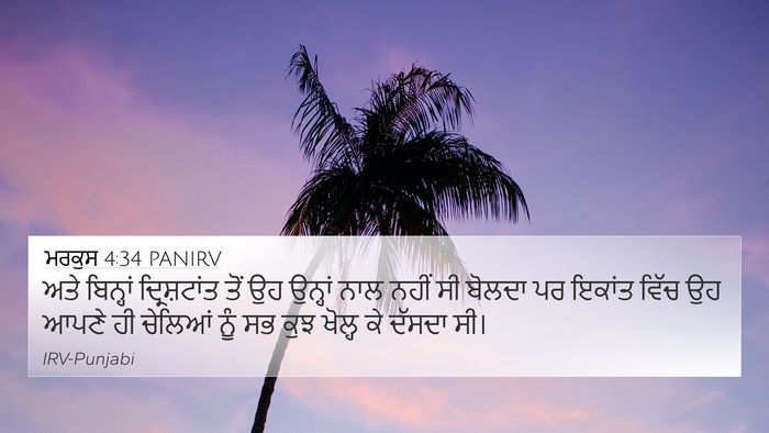 ਮਰਕੁਸ 4:34 PANIRV Bible Verse Image