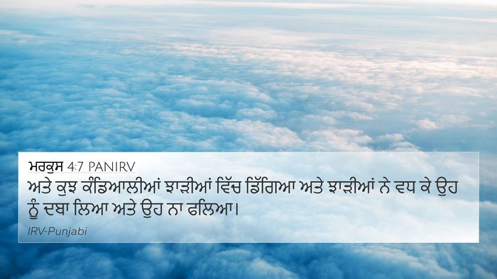 ਮਰਕੁਸ 4:7 PANIRV Bible Verse Image