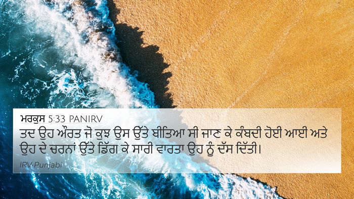 ਮਰਕੁਸ 5:33 PANIRV Bible Verse Image