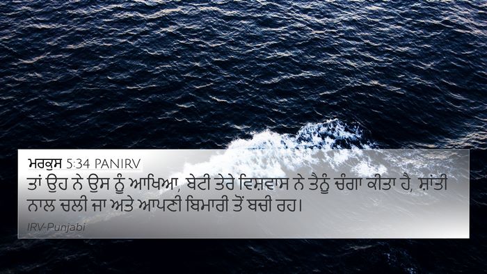 ਮਰਕੁਸ 5:34 PANIRV Bible Verse Image