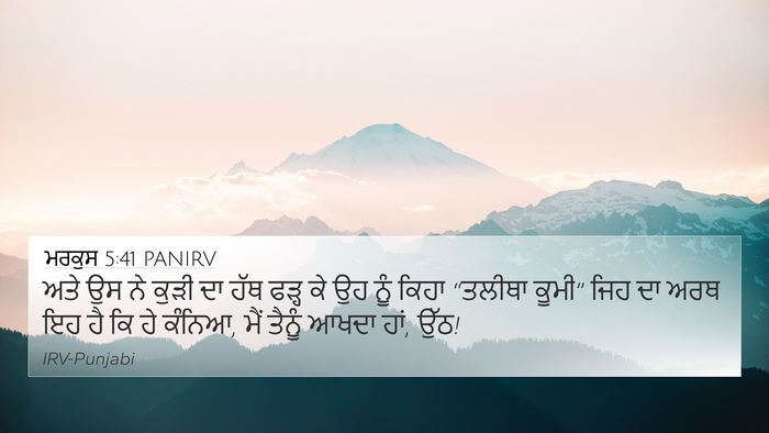 ਮਰਕੁਸ 5:41 PANIRV Bible Verse Image
