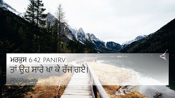 ਮਰਕੁਸ 6:42 PANIRV Bible Verse Image
