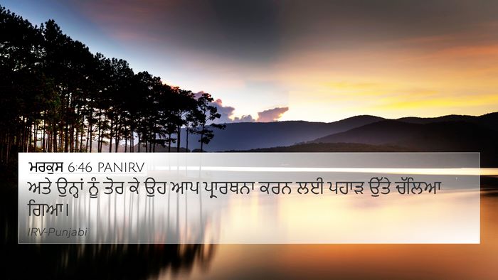 ਮਰਕੁਸ 6:46 PANIRV Bible Verse Image