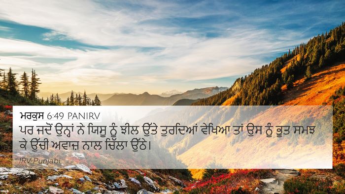 ਮਰਕੁਸ 6:49 PANIRV Bible Verse Image