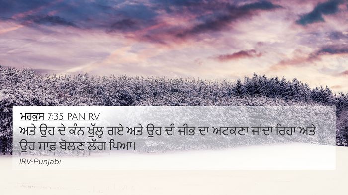ਮਰਕੁਸ 7:35 PANIRV Bible Verse Image