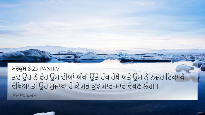 ਮਰਕੁਸ 8:25 PANIRV Bible Verse Image