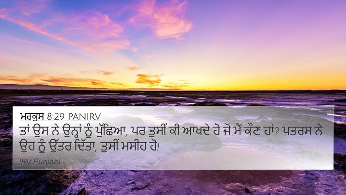 ਮਰਕੁਸ 8:29 PANIRV Bible Verse Image