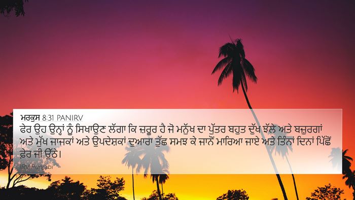 ਮਰਕੁਸ 8:31 PANIRV Bible Verse Image