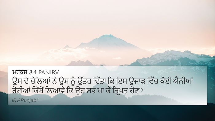ਮਰਕੁਸ 8:4 PANIRV Bible Verse Image