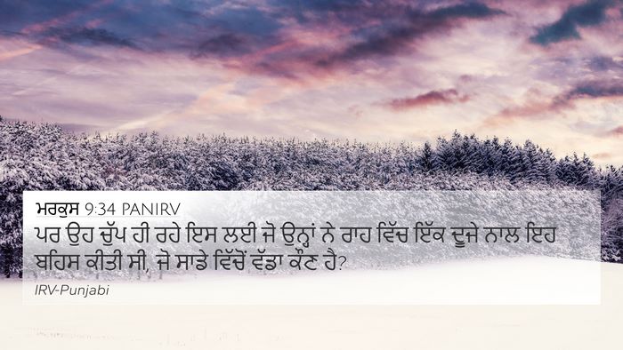 ਮਰਕੁਸ 9:34 PANIRV Bible Verse Image