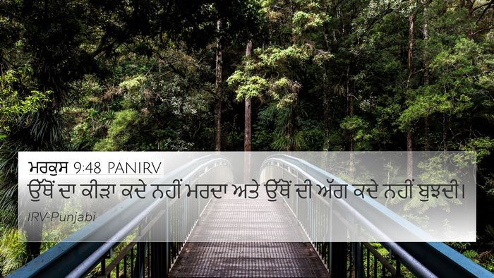 ਮਰਕੁਸ 9:48 PANIRV 4K Wallpaper - ਉੱਥੋਂ ਦਾ ਕੀੜਾ ਕਦੇ - 4K Wallpaper Bible Verse