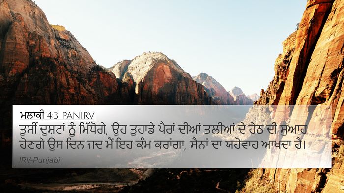 ਮਲਾਕੀ 4:3 PANIRV Bible Verse Image
