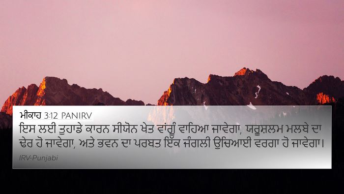 ਮੀਕਾਹ 3:12 PANIRV Bible Verse Image