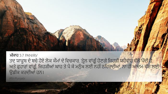 ਮੀਕਾਹ 5:7 PANIRV Bible Verse Image
