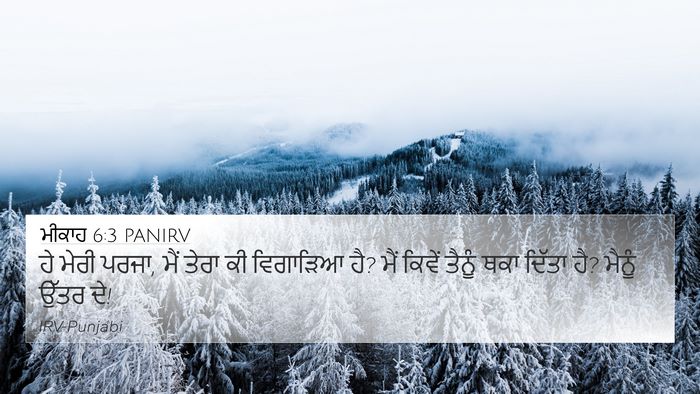 ਮੀਕਾਹ 6:3 PANIRV Bible Verse Image