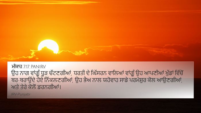 ਮੀਕਾਹ 7:17 PANIRV 4K Wallpaper - ਉਹ ਨਾਗ ਵਾਂਗੂੰ ਧੂੜ - 4K Wallpaper Bible Verse