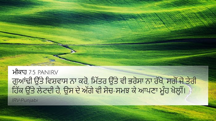 ਮੀਕਾਹ 7:5 PANIRV Bible Verse Image