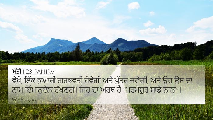 ਮੱਤੀ 1:23 PANIRV Bible Verse Image