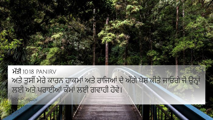 ਮੱਤੀ 10:18 PANIRV Bible Verse Image