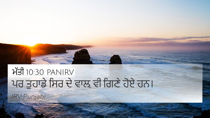 ਮੱਤੀ 10:30 PANIRV Bible Verse Image
