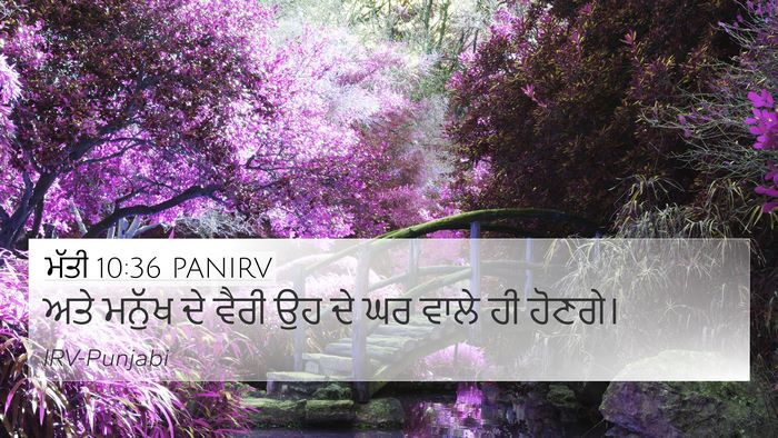 ਮੱਤੀ 10:36 PANIRV 4K Wallpaper - ਅਤੇ ਮਨੁੱਖ ਦੇ ਵੈਰੀ - 4K Wallpaper Bible Verse