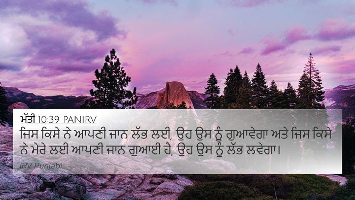 ਮੱਤੀ 10:39 PANIRV Bible Verse Image