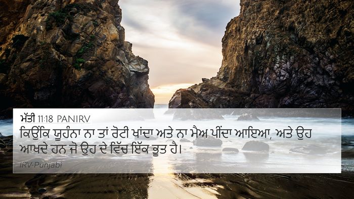 ਮੱਤੀ 11:18 PANIRV Bible Verse Image