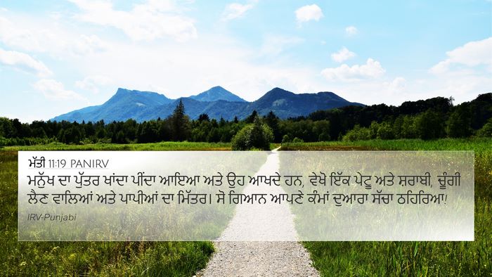 ਮੱਤੀ 11:19 PANIRV Bible Verse Image