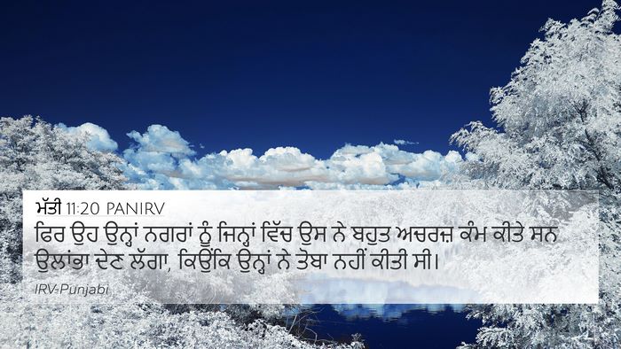 ਮੱਤੀ 11:20 PANIRV Bible Verse Image