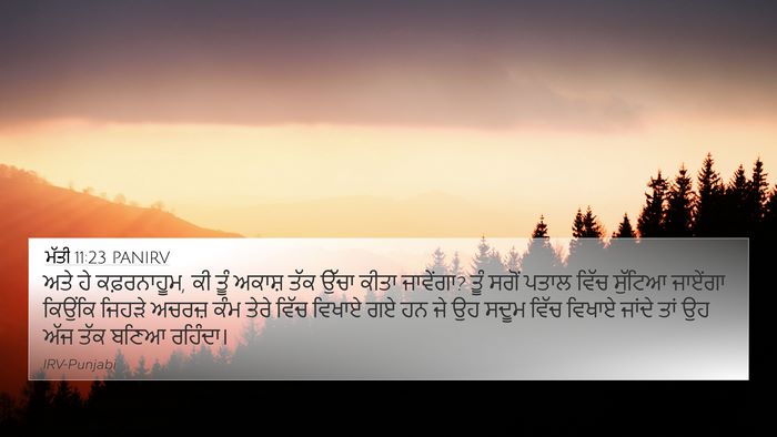ਮੱਤੀ 11:23 PANIRV Bible Verse Image