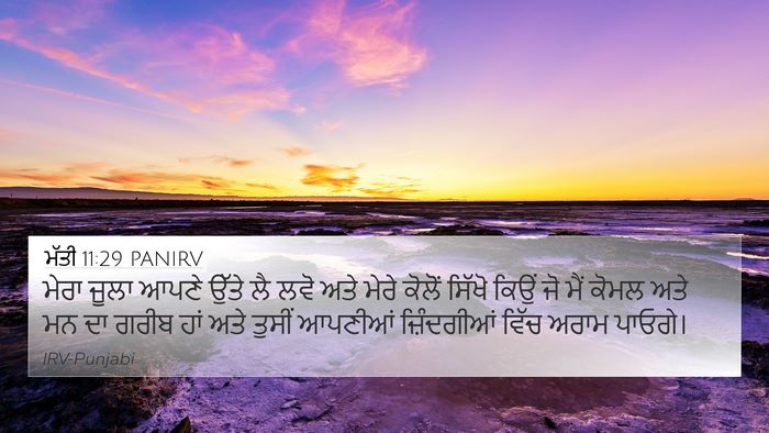 ਮੱਤੀ 11:29 PANIRV Bible Verse Image