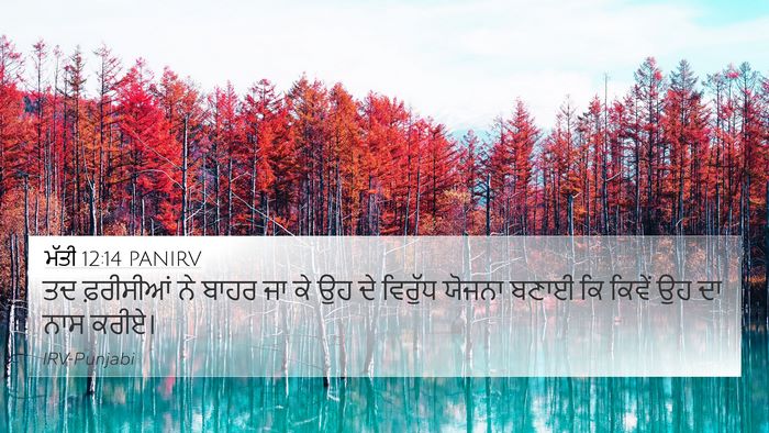 ਮੱਤੀ 12:14 PANIRV Bible Verse Image