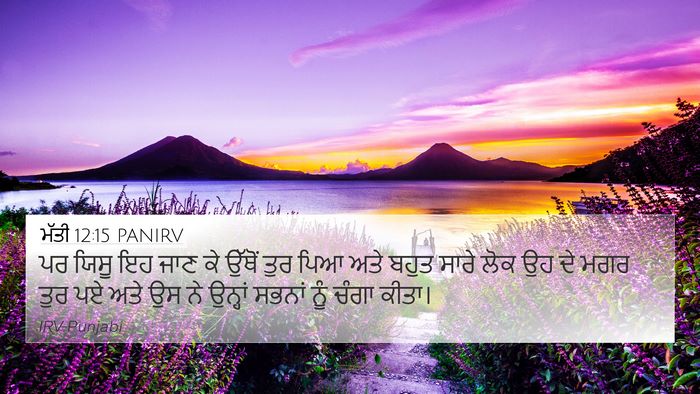 ਮੱਤੀ 12:15 PANIRV Bible Verse Image