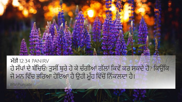 ਮੱਤੀ 12:34 PANIRV Bible Verse Image