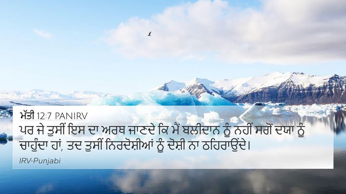 ਮੱਤੀ 12:7 PANIRV Bible Verse Image