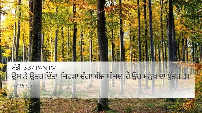 ਮੱਤੀ 13:37 PANIRV Bible Verse Image
