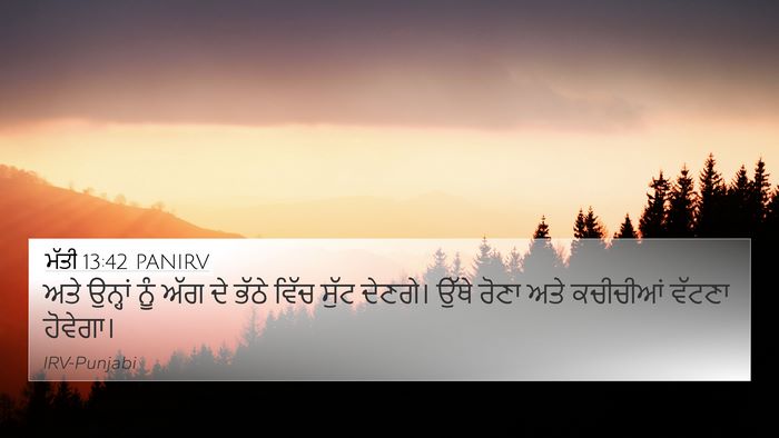 ਮੱਤੀ 13:42 PANIRV Bible Verse Image