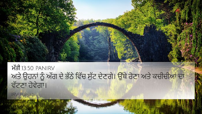 ਮੱਤੀ 13:50 PANIRV Bible Verse Image