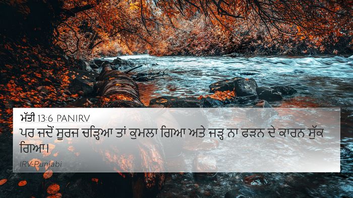 ਮੱਤੀ 13:6 PANIRV Bible Verse Image
