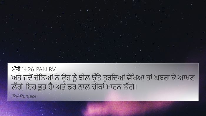 ਮੱਤੀ 14:26 PANIRV 4K Wallpaper - ਅਤੇ ਜਦੋਂ ਚੇਲਿਆਂ ਨੇ - 4K Wallpaper Bible Verse