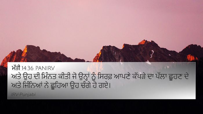 ਮੱਤੀ 14:36 PANIRV Bible Verse Image
