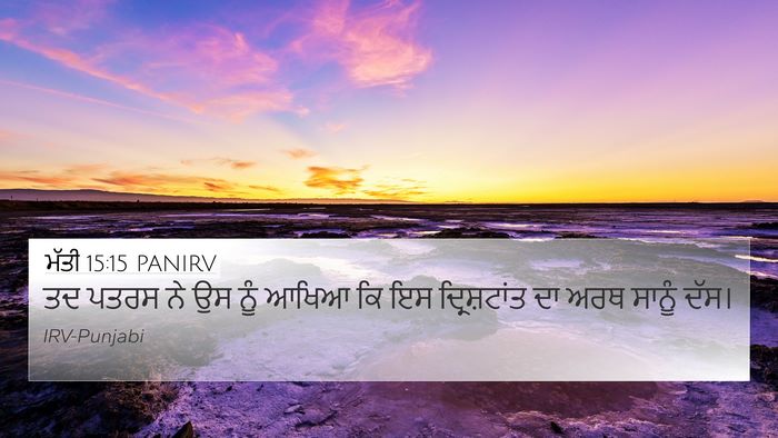 ਮੱਤੀ 15:15 PANIRV Bible Verse Image
