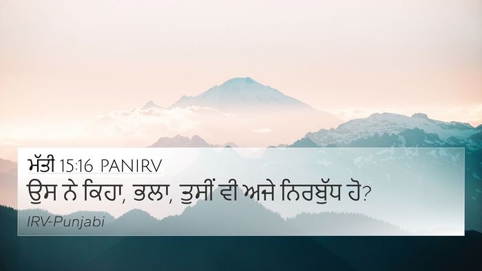ਮੱਤੀ 15:16 PANIRV Bible Verse Image